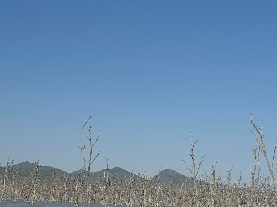 Chamo Lake景点图片