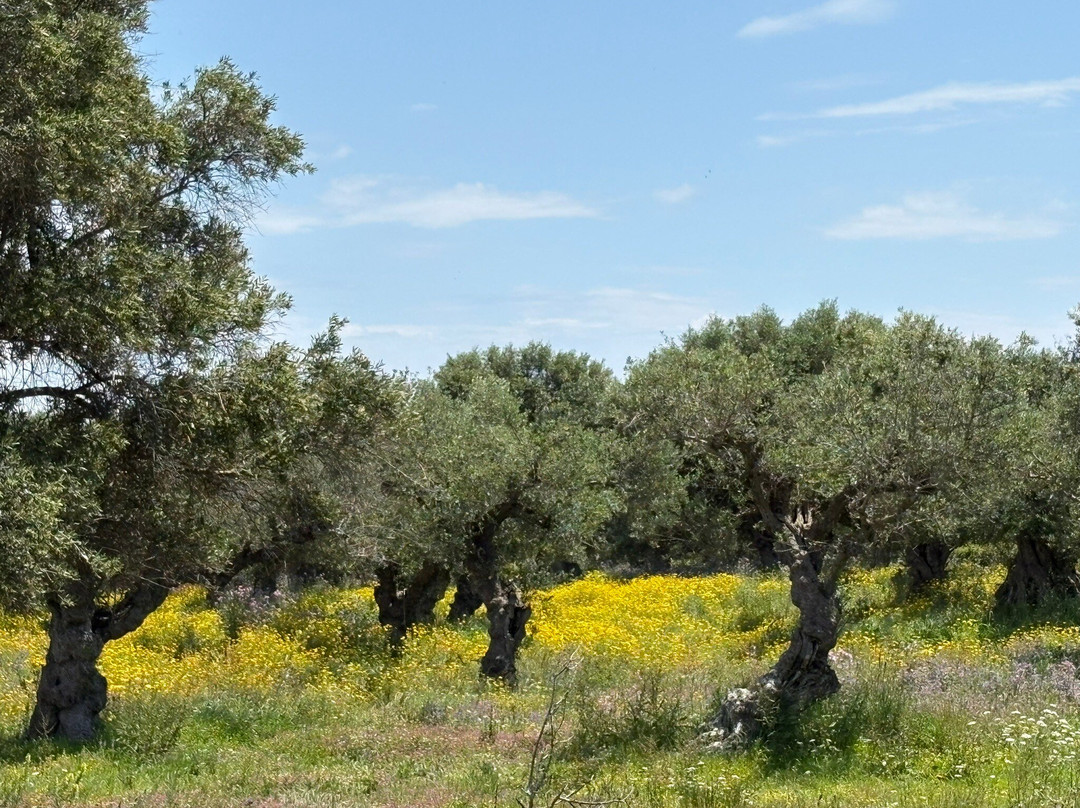 Logothetis Organic Farm