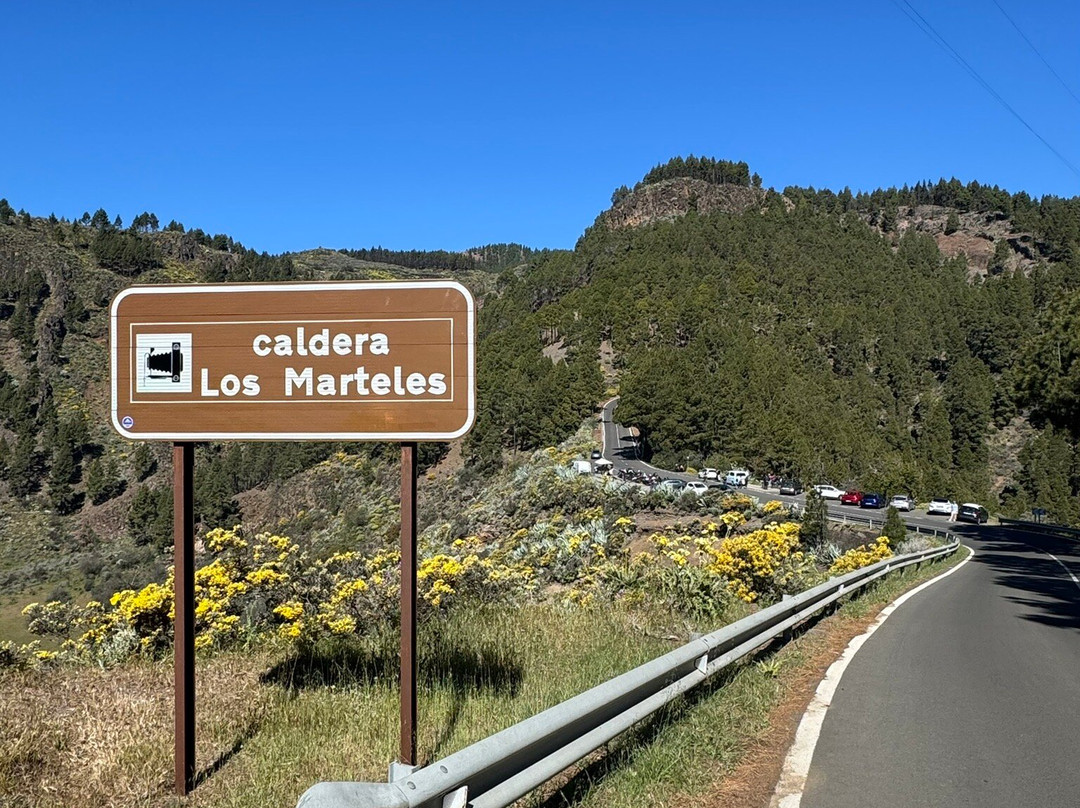 Pico De Las Nieves景点图片