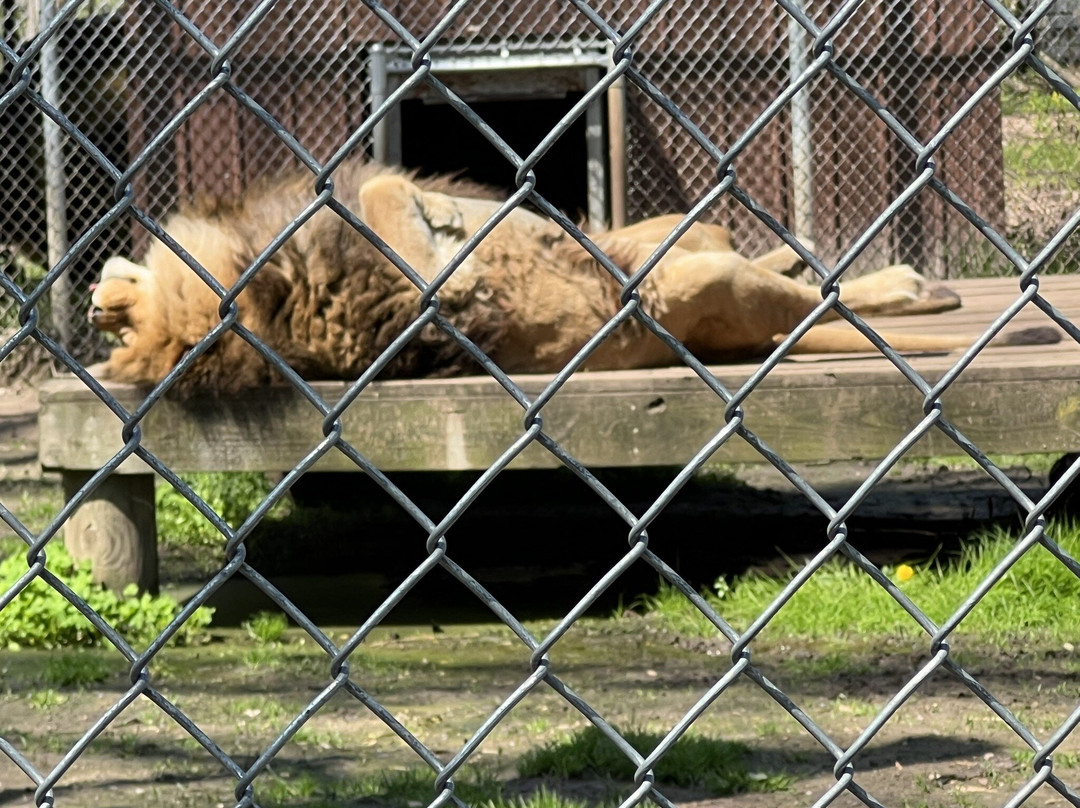 Wilderness Trails Zoo-伯奇伦必去景点