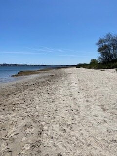 Webhanet Marsh Trail-韦尔斯必去景点