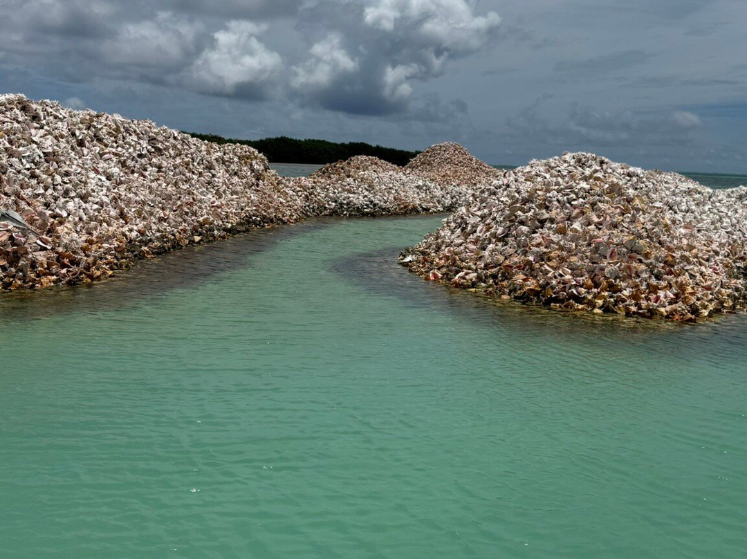 Tommy Gaunt Kitesurfing-Anegada必去景点