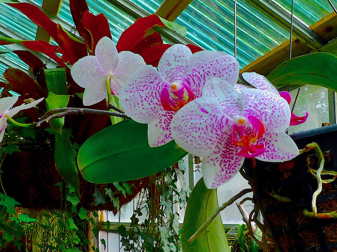 Eureka Springs Park-坦帕必去景点