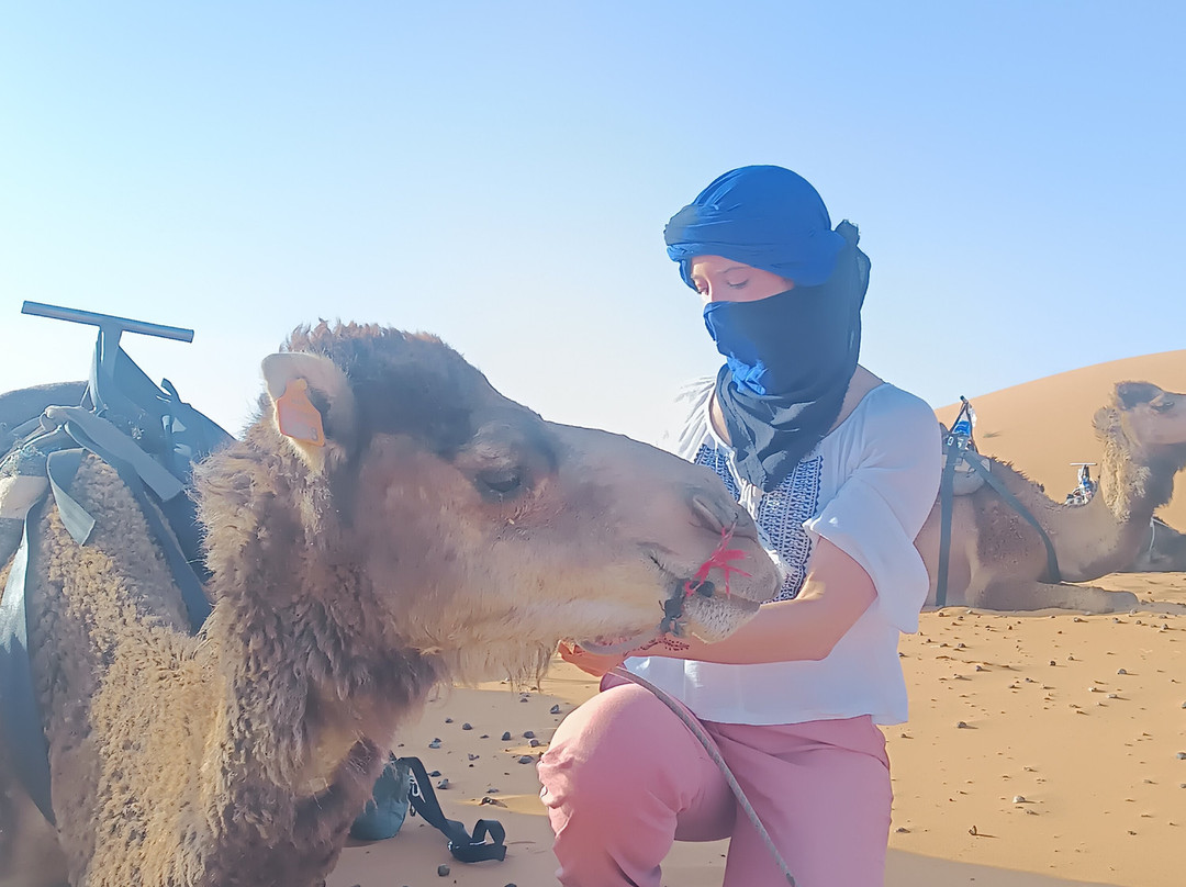 Saharies-马拉喀什必去景点