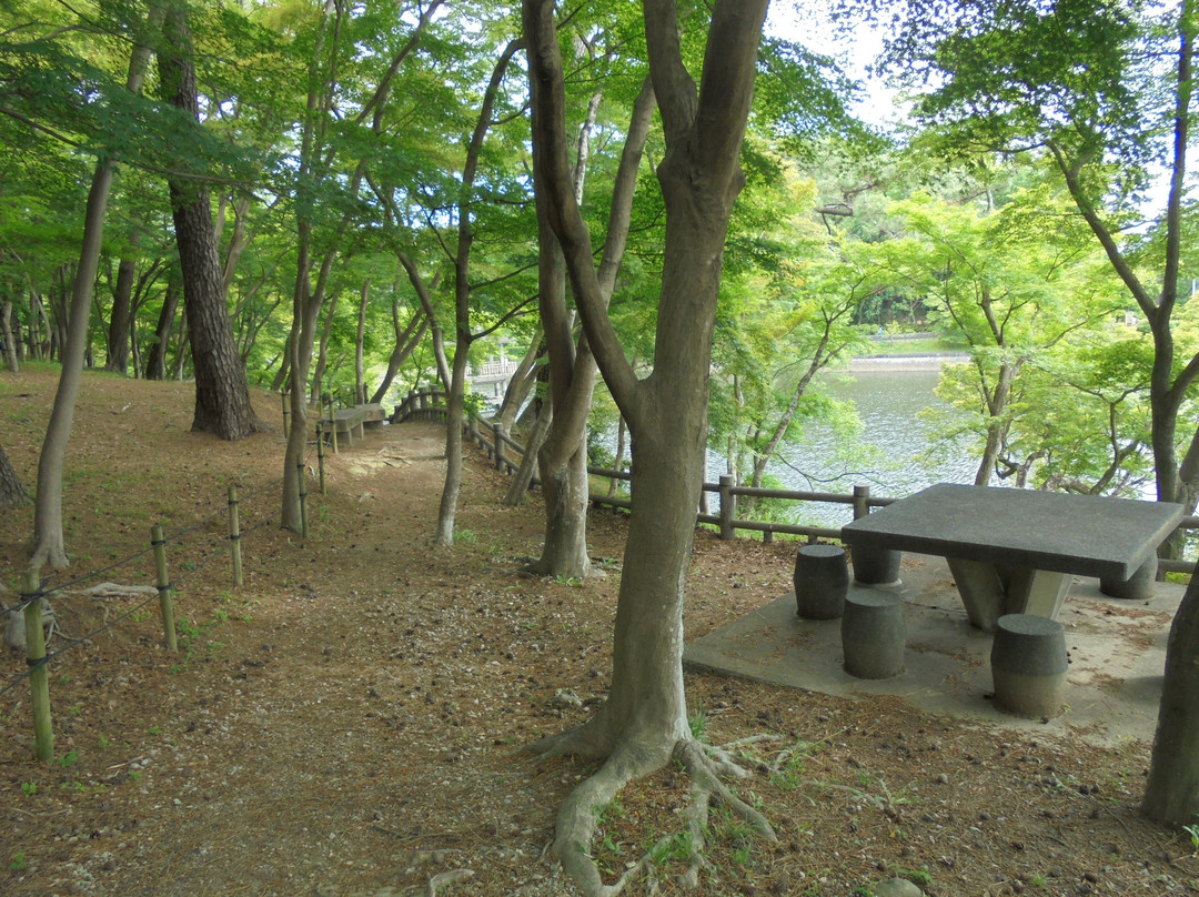 Higashi Park景点图片