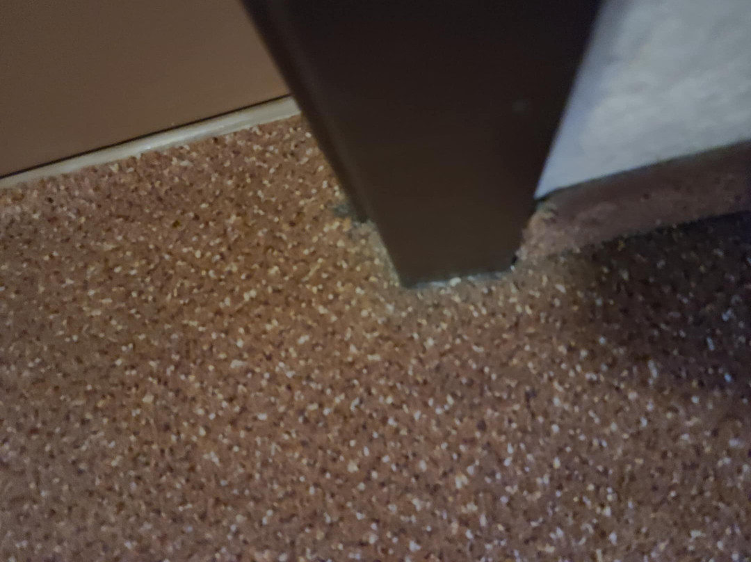 Quality Inn & Suites主图