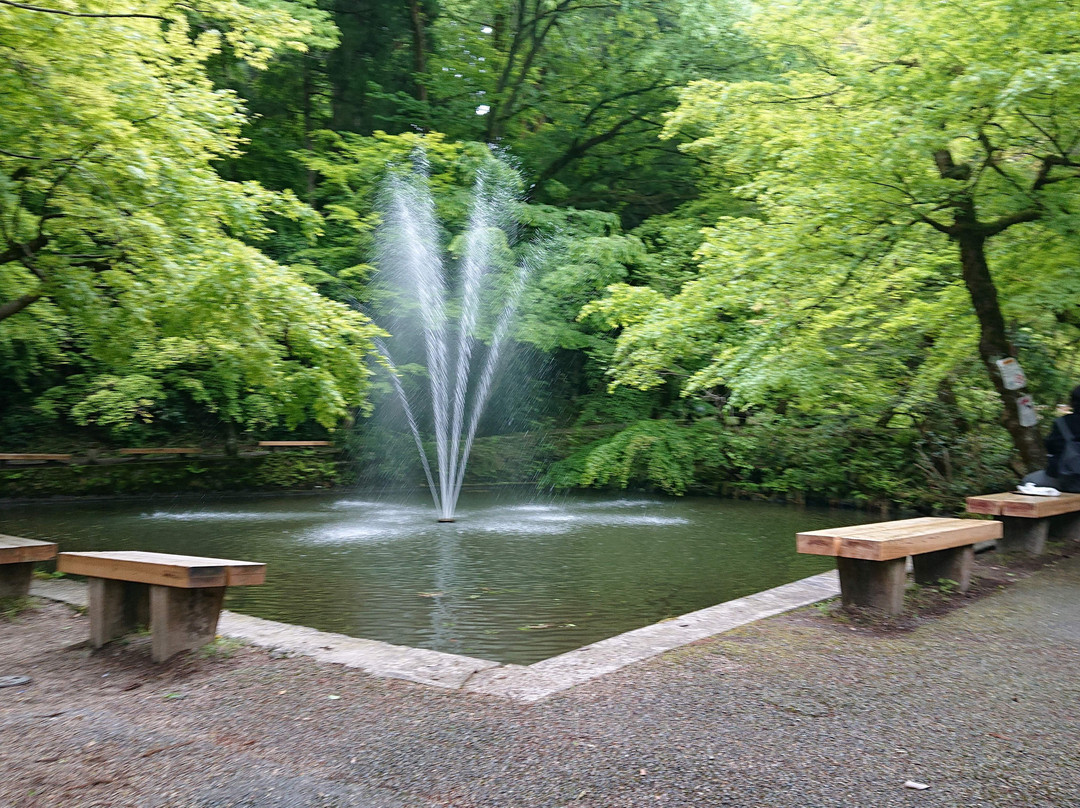 Aomi Shrine-加茂市必去景点