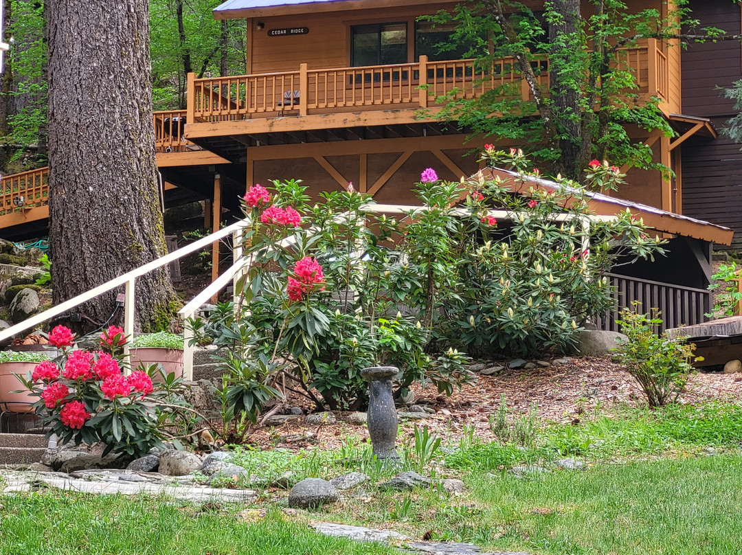 Sierra Shangri-La主图