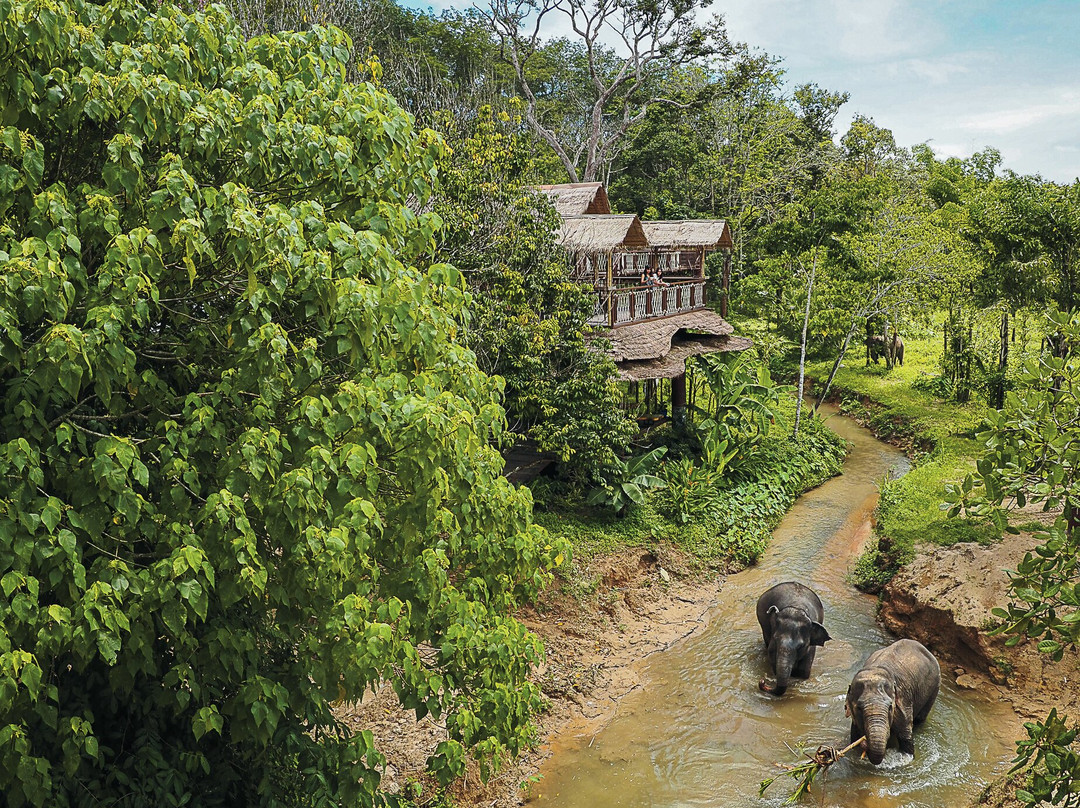 Phuket Elephant Sanctuary-普吉岛必去景点