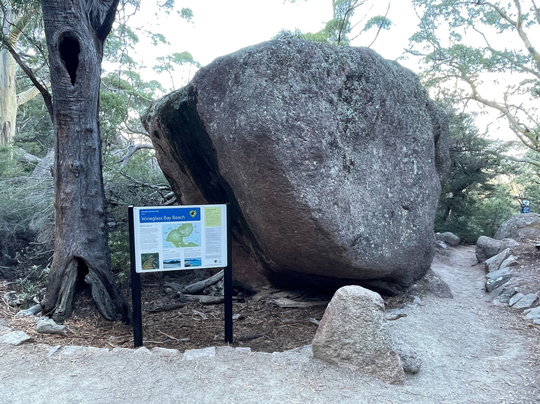 Wineglass Bay and Hazards Beach Circuit景点图片