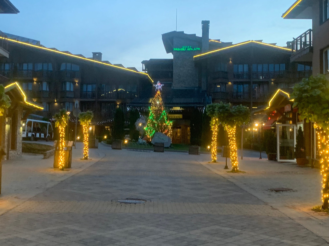 Pirin Golf Hotel & SPA主图