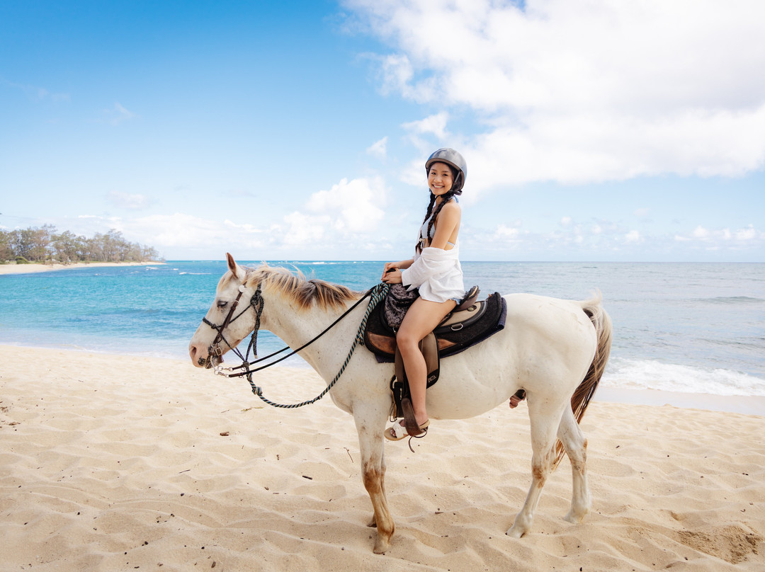 Hawaii Polo Trail Rides-瓦亚禄必去景点