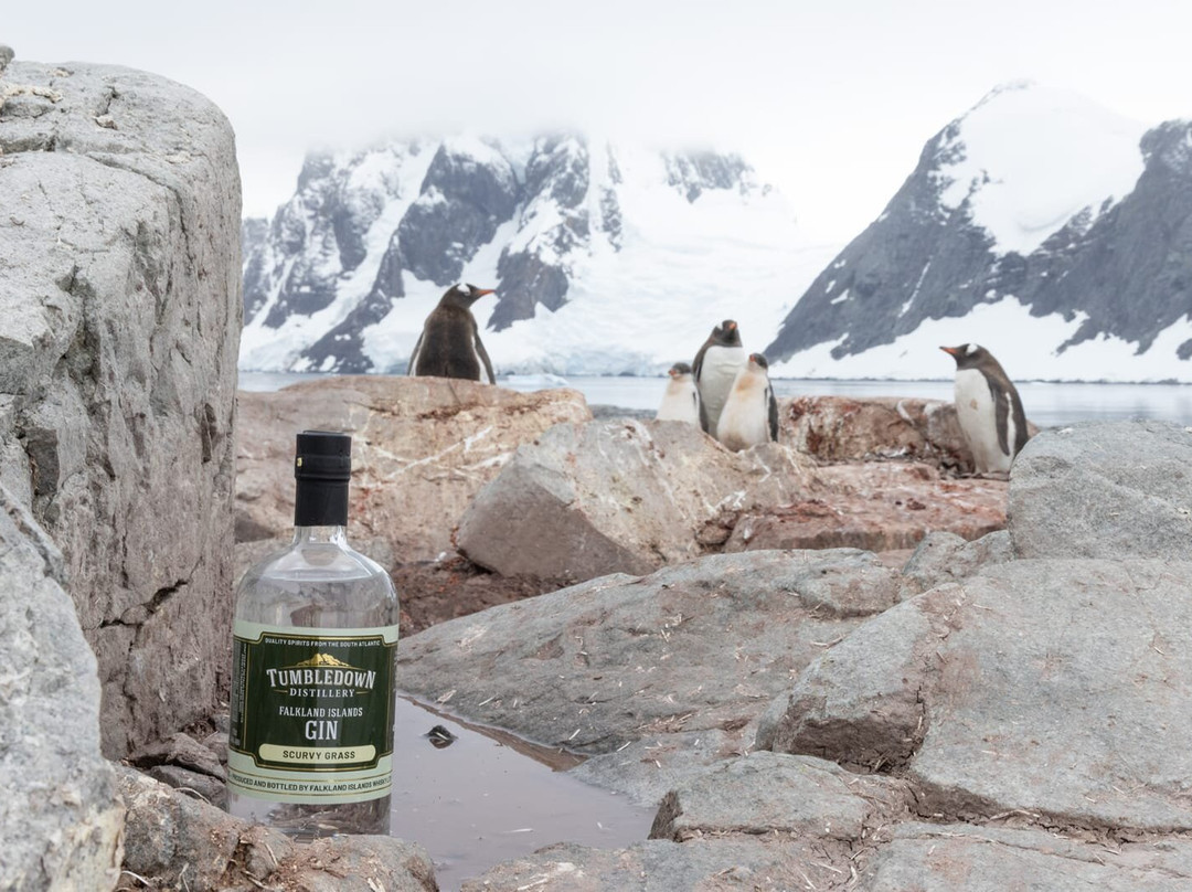 Falkland Island Spirits-Douglas必去景点