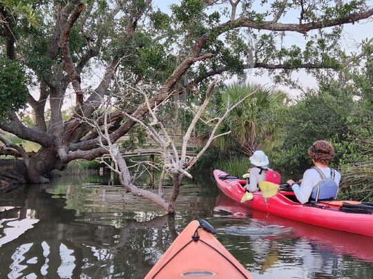 Ripple Effect Ecotours-圣奥古斯丁必去景点