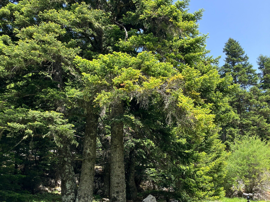 Greece Bird Tours-Marathon必去景点