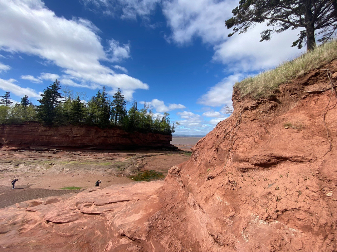 Burntcoat Head Park-Noel必去景点