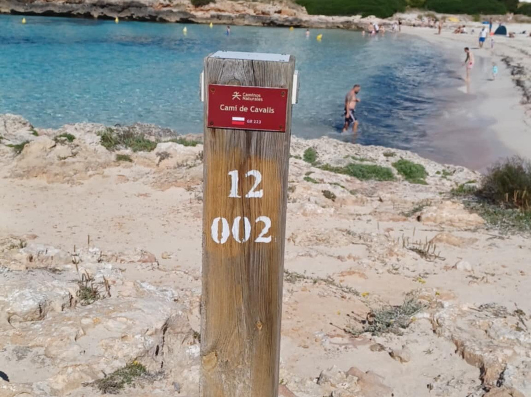 Platja de Son Xoriguer-卡兰博希必去景点