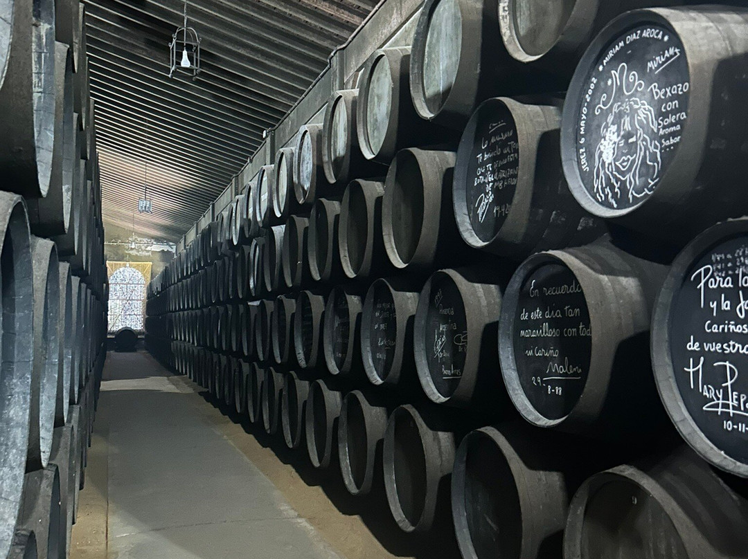 Bodegas Grupo Estevez-赫雷斯德拉弗隆特拉必去景点