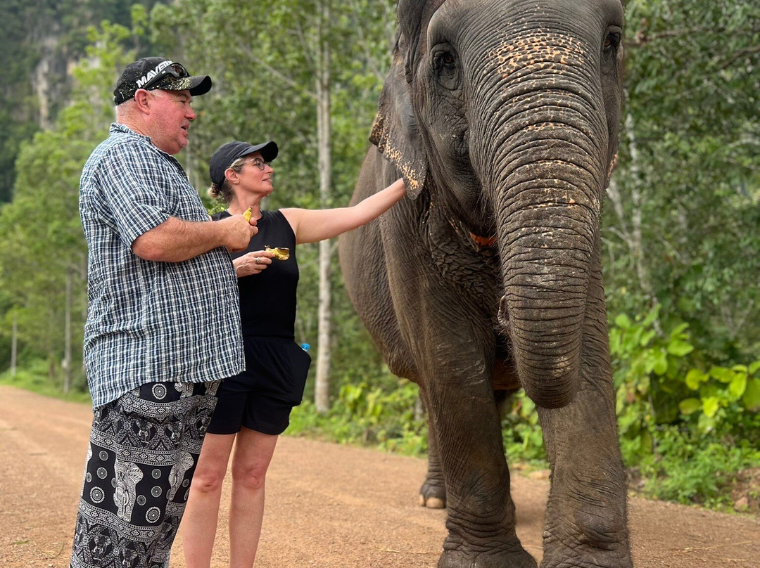 Krabi Elephant Sanctuary景点图片