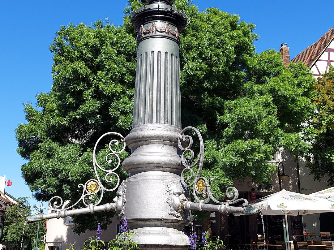 Hotel und Gutsgaststatte Rappenhof主图