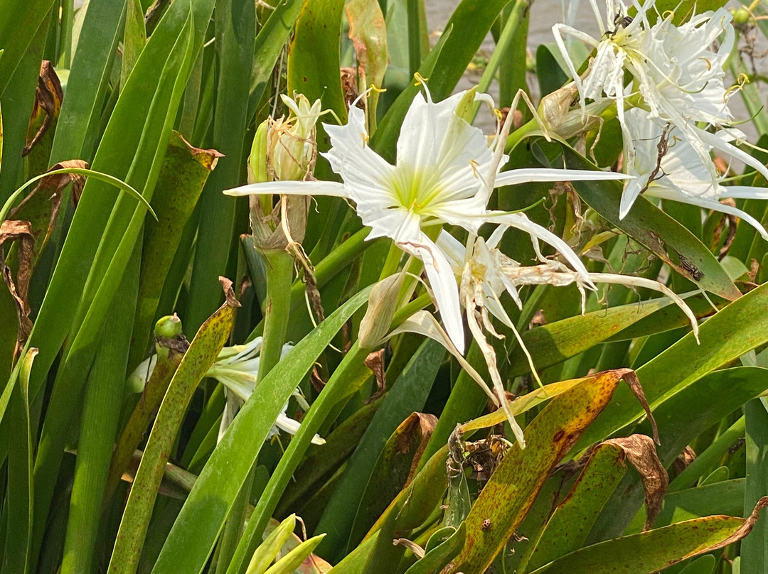 NC Outdoor Adventures-Bakersville必去景点