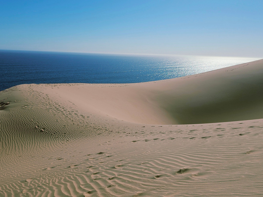 Desert Dunes & Dust Tours-斯瓦科普蒙德必去景点