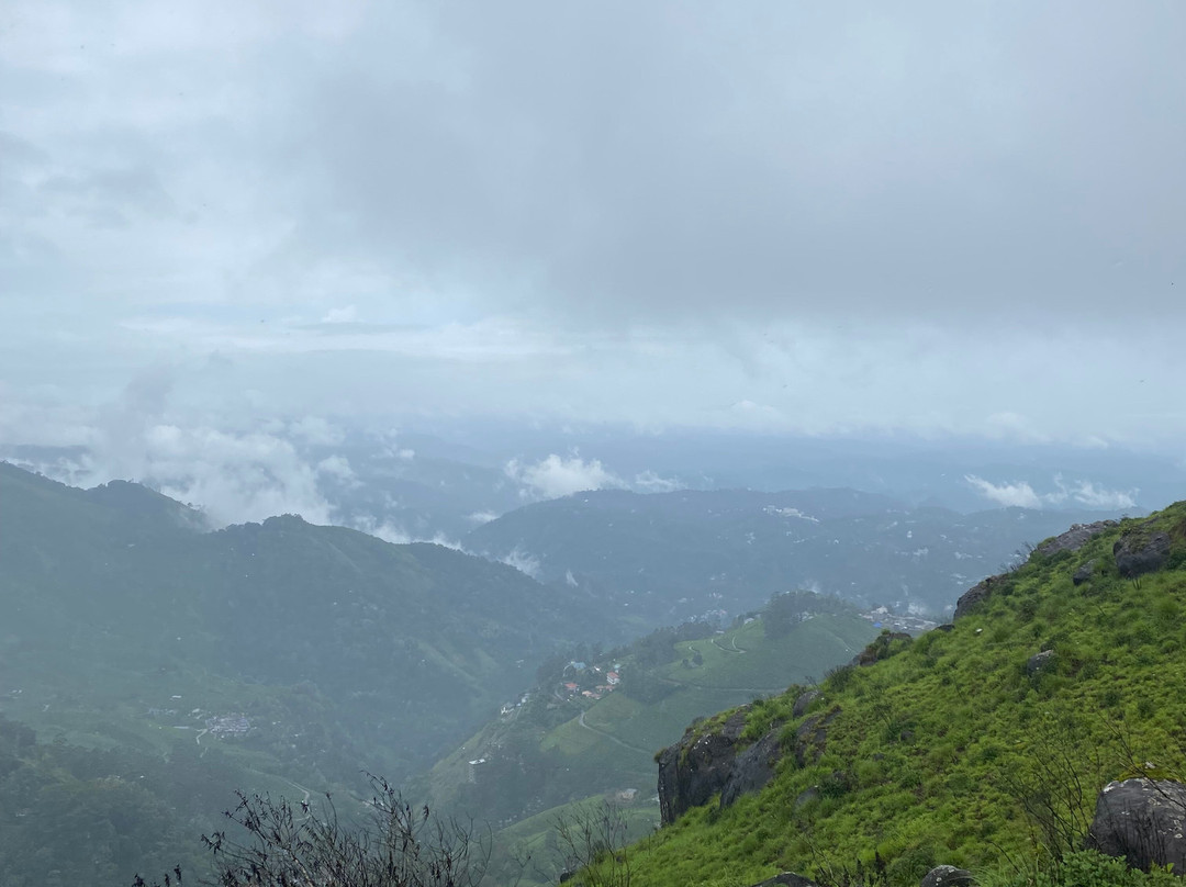 Munnar Hiking Trails景点图片