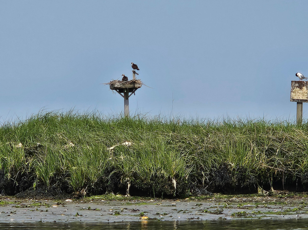Ecobay Kayak Adventures-Ocean View必去景点