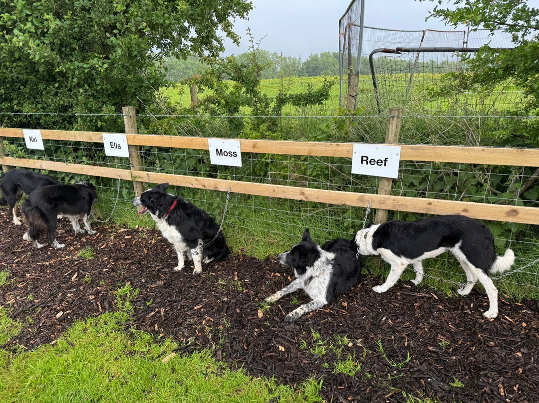 Miller Farming