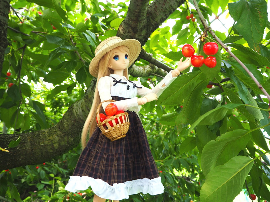 Ono Orchid & Orchard Garden景点图片