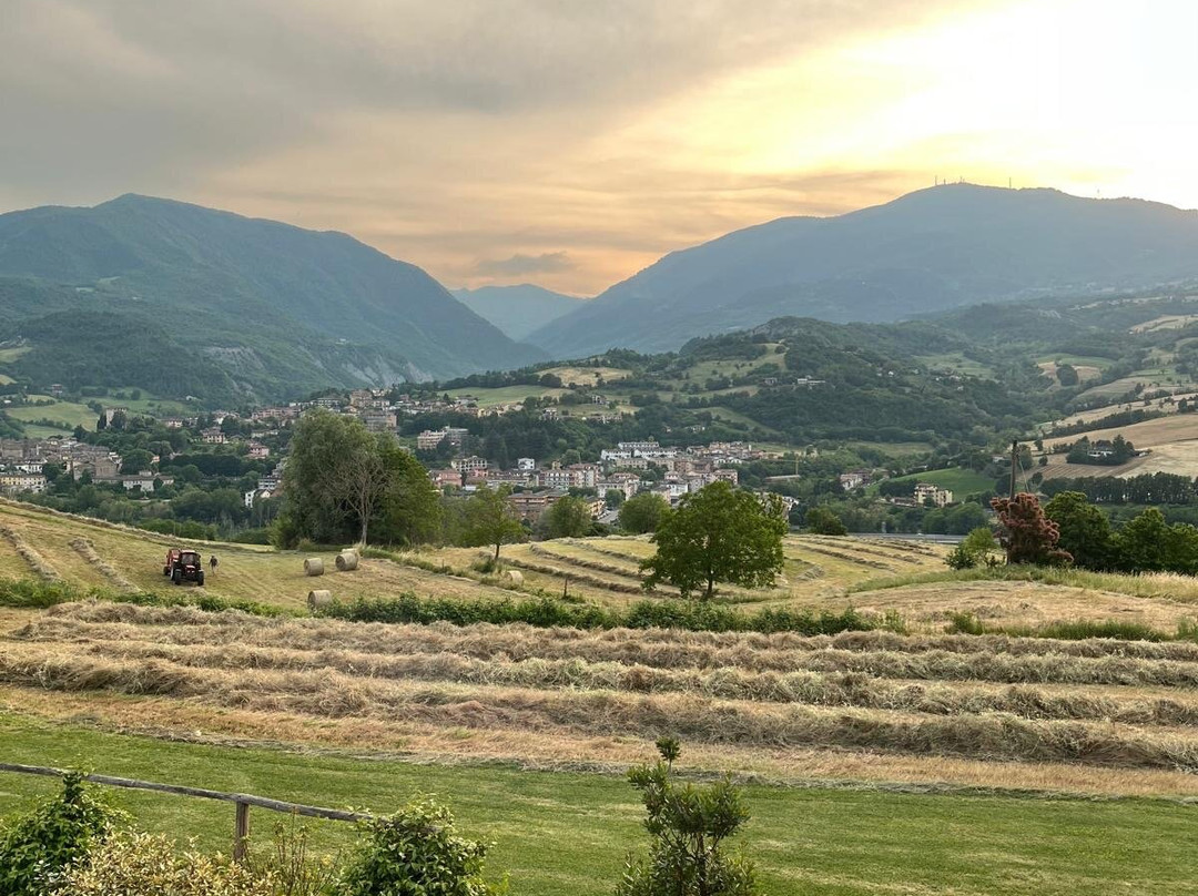 Relais Sant'Ambrogio Agriturismo主图