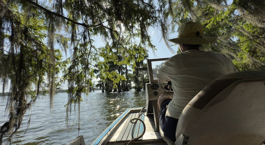Louisiana Swamp Tours景点图片