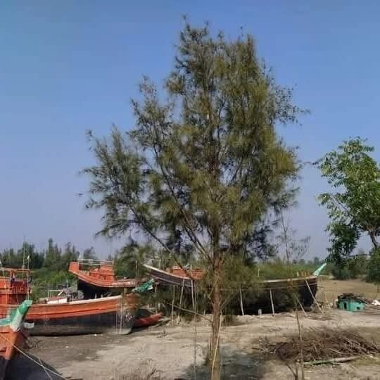 Gobardhanpur G Plot West Bengal