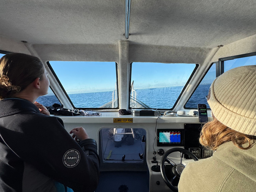 Gold Coast Dive Adventures-Runaway Bay必去景点