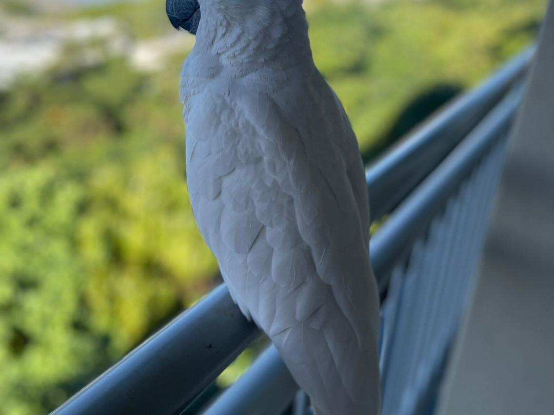 Club Wyndham Airlie Beach: The gateway to the Whitsundays!主图