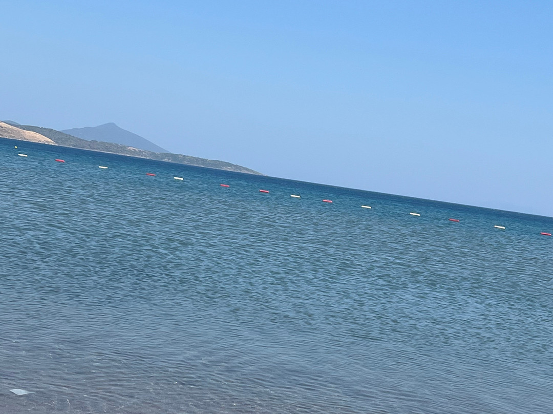 Camel Beach景点图片