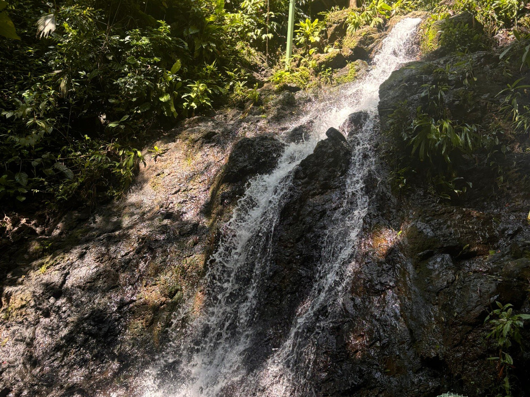 Sukia Park & Zip Line Tour景点图片