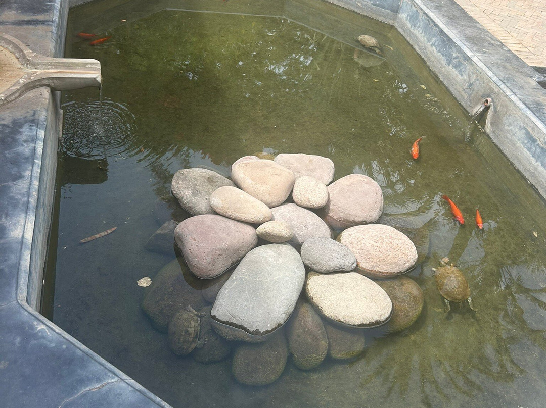 香颂秘密花园景点图片