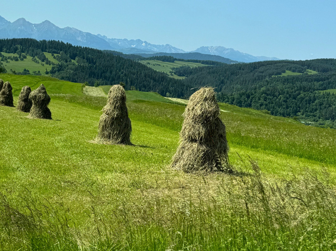 Krakow Connect-克拉科夫必去景点