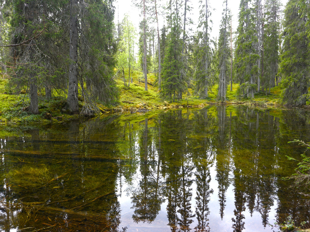 Pyhäjoen Luontopolku-Muonio必去景点