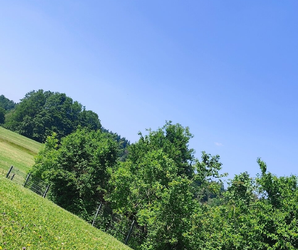 Freibad Obereisenbach