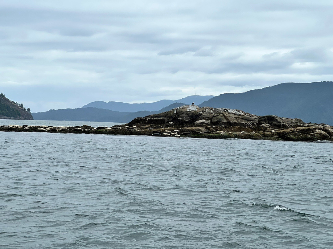 Outer Island Excursions景点图片
