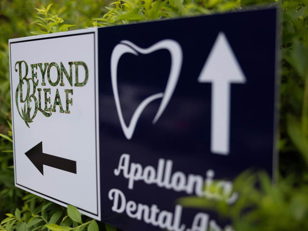Beyond Bleaf-West Milford必去景点