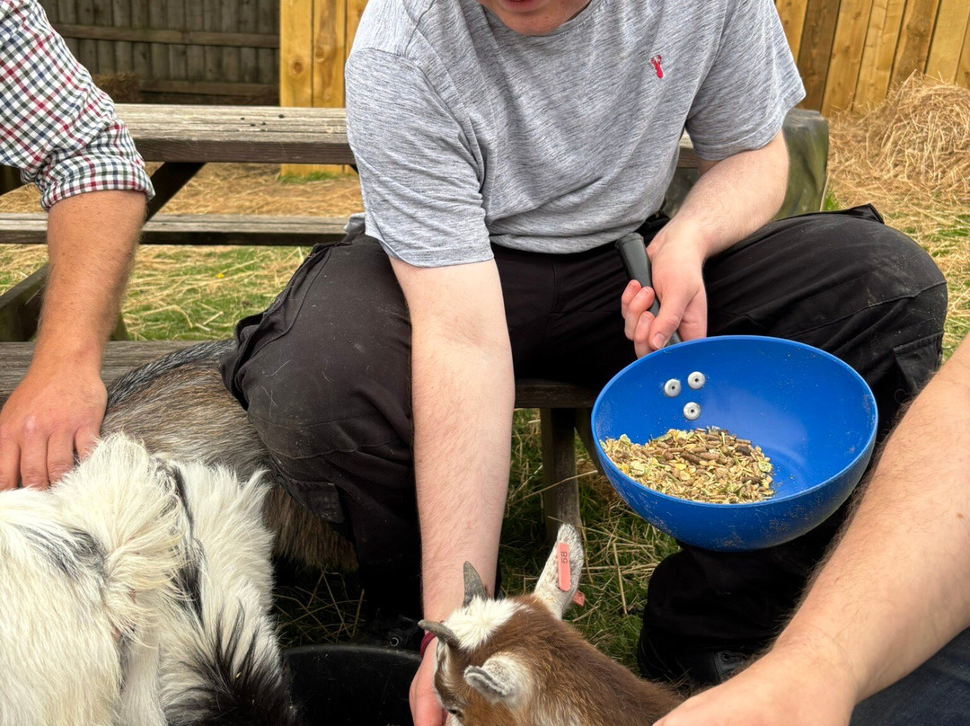 Popham Farm Alpaca Trekking-索尔塔什必去景点