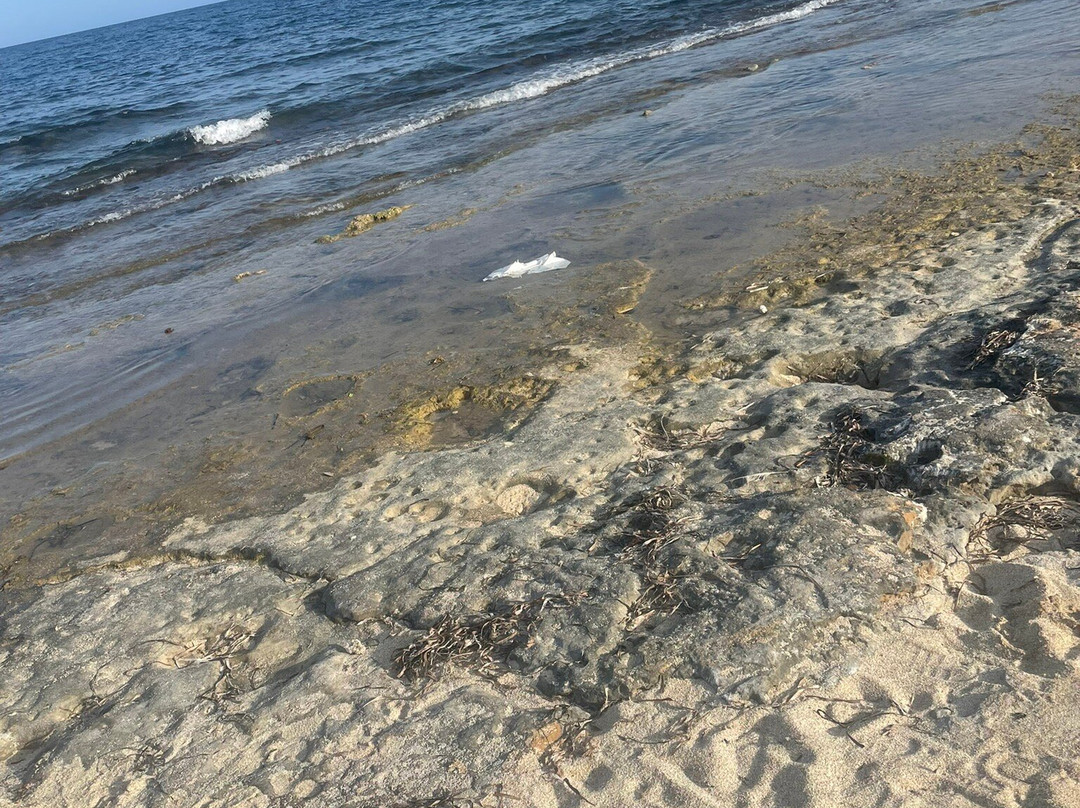 Playa de Los Locos-托雷维耶哈必去景点