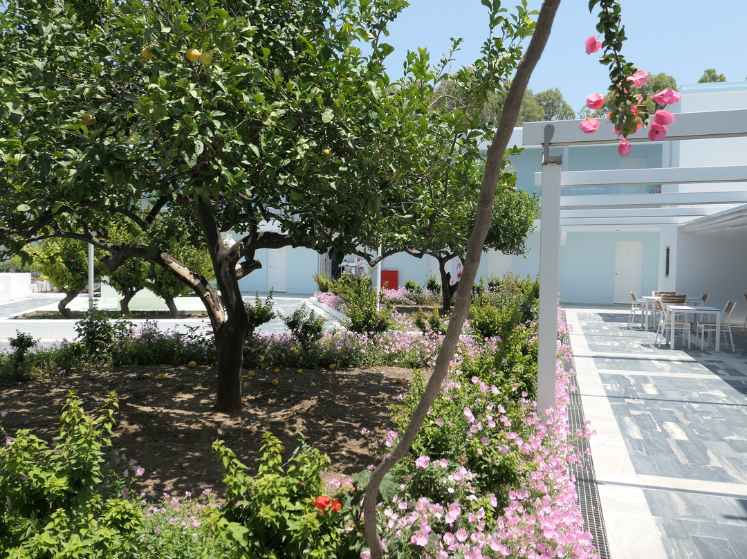 Kouros Seasight主图