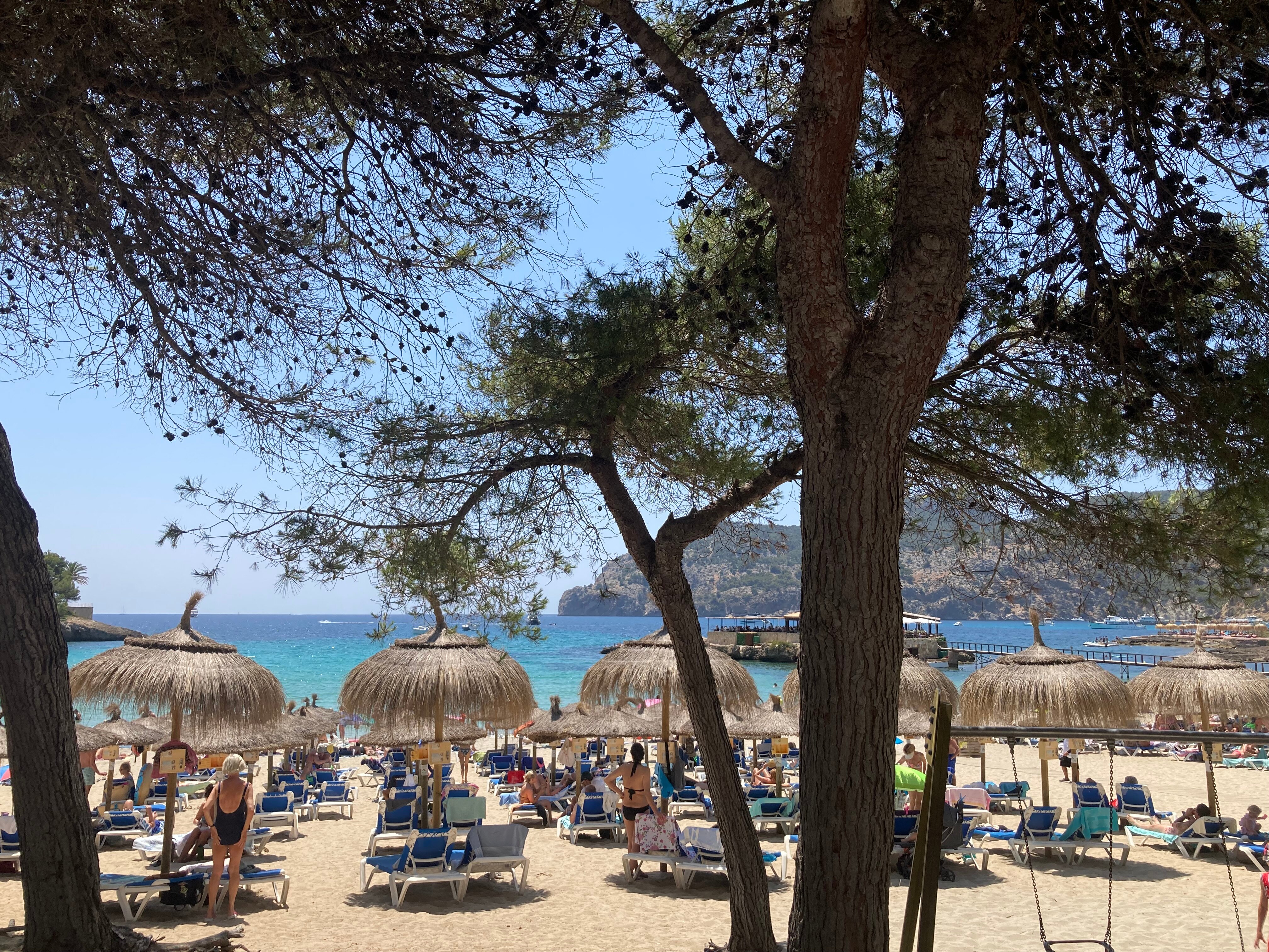 Grupotel Playa Camp de Mar-泳池