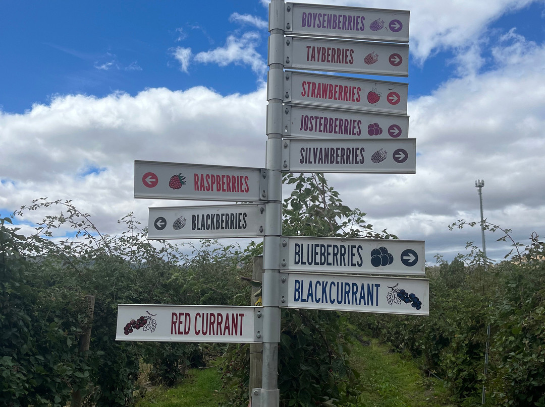 The Westerway Raspberry Farm-Westerway必去景点