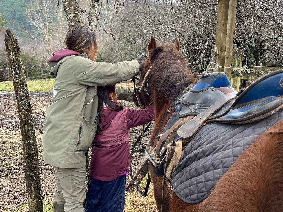 Alma Equina Pucon-普孔必去景点