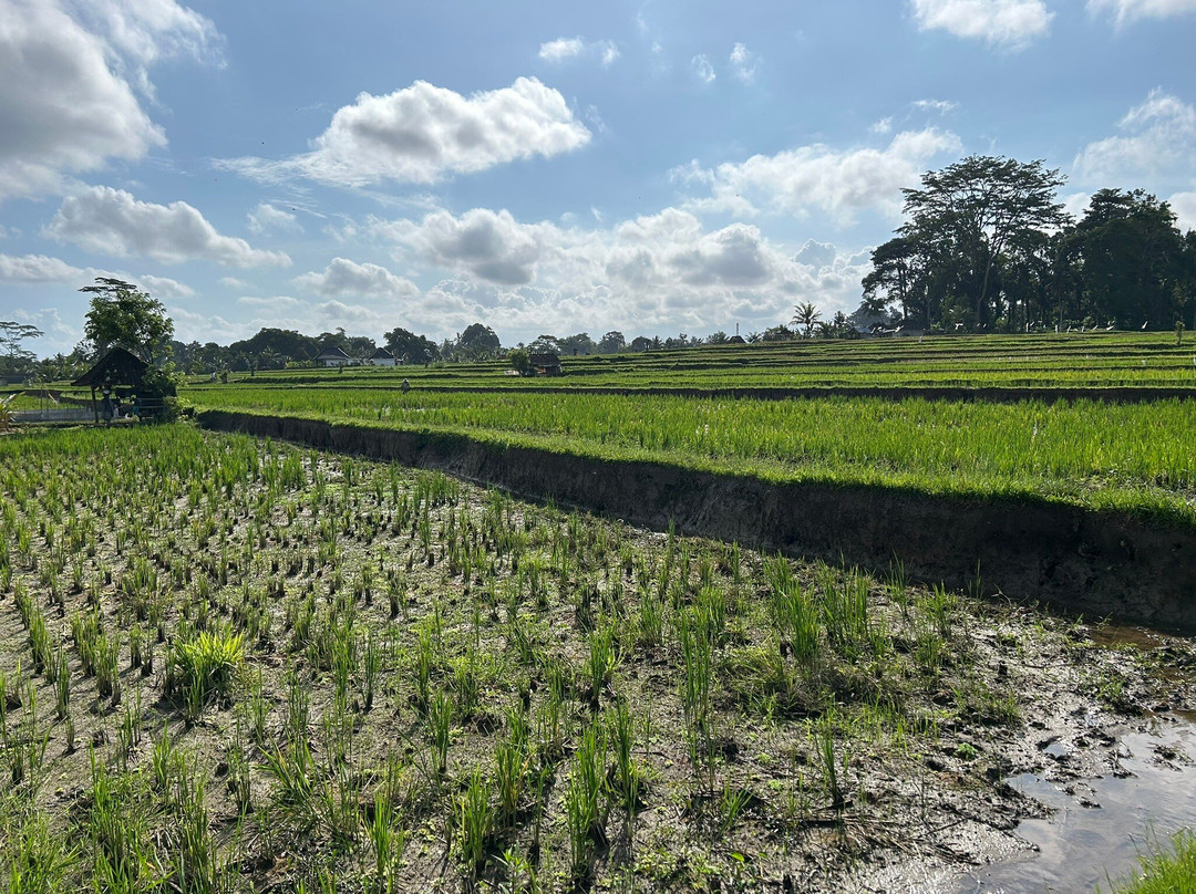 Keliki Painting School-Keliki必去景点